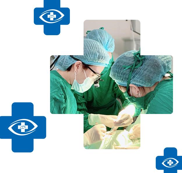 Tư vấn khám chữa bệnh chuẩn xác, hiệu quả.